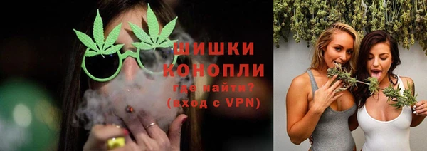 сатива Вязники