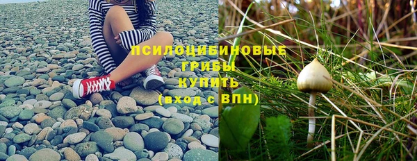 jwh Вязьма