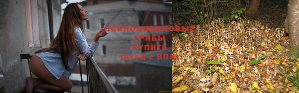 сатива Вязники