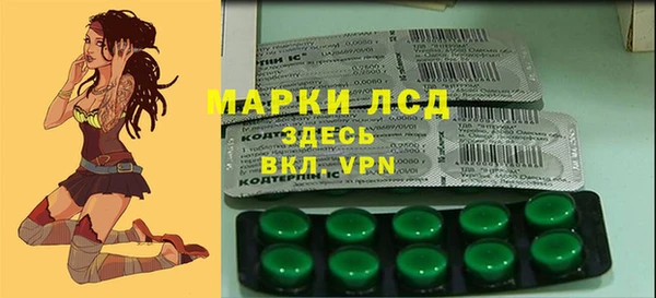 сатива Вязники