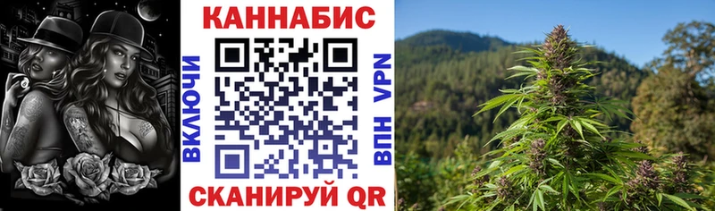 Канабис сатива Тамбов